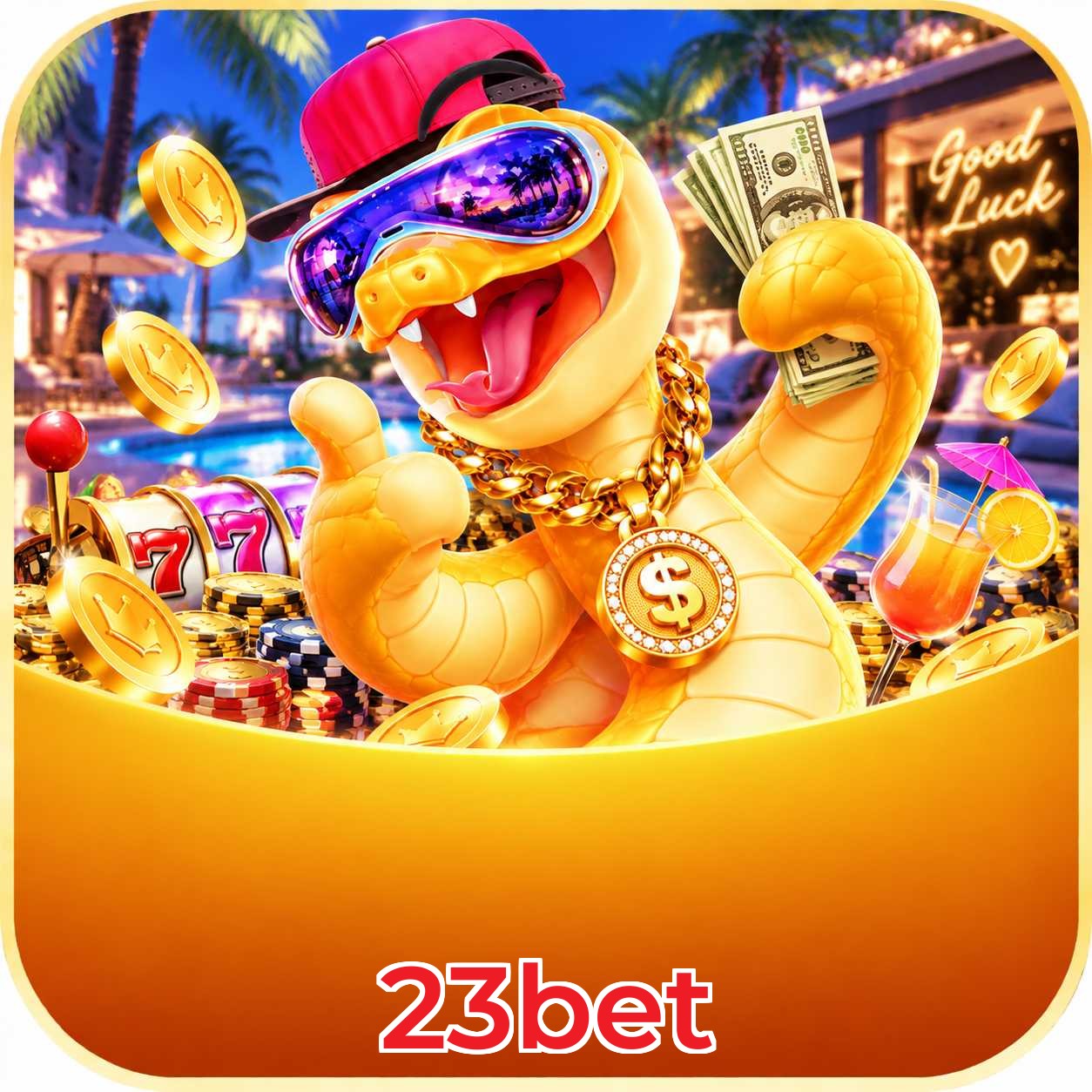23bet Live Dealers